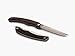 Barebones | Folding Steak Knife, Set of 2
