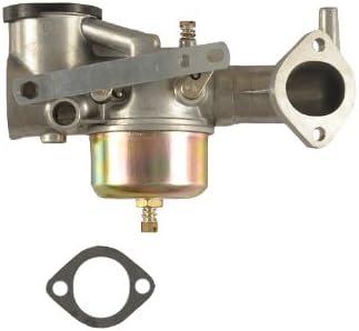 Briggs Stratton 491590 Carburetor Replaces 390811 392152 Amazon De Garten