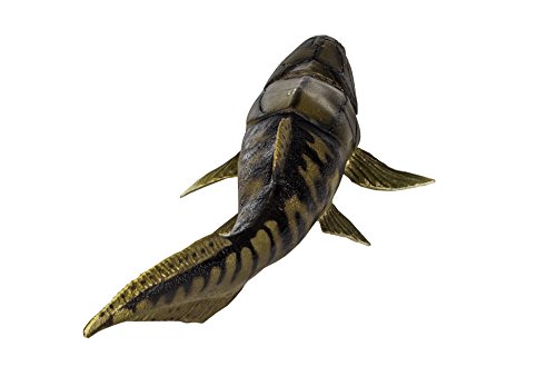 Safari Ltd  Wild Safari Dunkleosteus