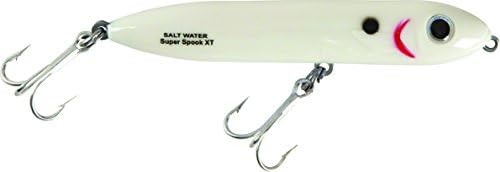 Heddon Super Spook XT