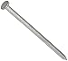 Grip Rite 16HGC1 1 lb Hot Dipped Galvanized Smooth Shank Common Nail, 3-1/2