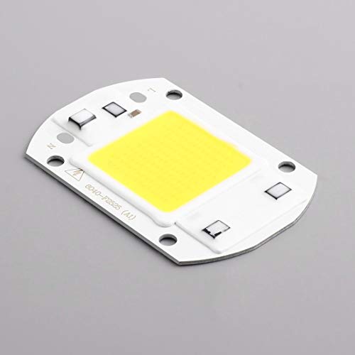 30W COB LED Chip F6040 AC110V AC220V Input IP63 Smart Integrated High Luminous LED Chip for DIY LED Floodlight - ColdWhit