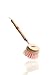 Lola Products The Original Dishwashing & Vegetable Brush, Hardwood w/Poly Fiber Bristles, Reusable, Sustainable, Has EZ-Grip Handle - 1 Pack