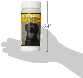 fastrack probiotic for dogs