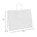 GSSUSA Large Paper Bags with Handles Bulk 16x6x12 inch 25pcs White, Gift Bags, Bags for Small Business, Paper Shopping Bags, Shopping Bags for Boutique, Merchandise, Food Service Take Out