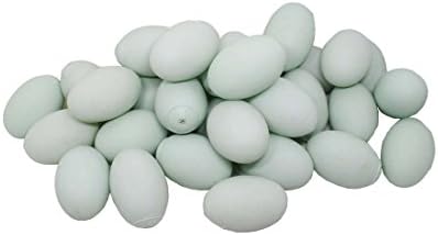 CatchStar Pretend Egg Squeaker Toy for Kids Bath and Kitchen Play 30 Piece 2.8" (Duck Egg)