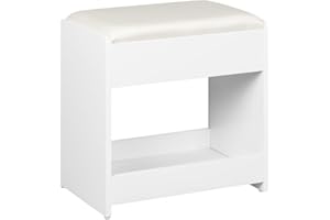 Hzuaneri Vanity Stool, Soft Padded Dressing Table Stool, Makeup Chair with Non-Slip Foot Pads for Dressing Room, Bottom Stora