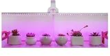 Led Grow Light Ledy 3.2ft 5050 Waterproof Flexible Soft Strip Grow Light for Plant Flower Seeds Seedlings Growing Red Blue 4:1 with DC 12V 2A Adaptor