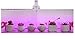 Led Grow Light Ledy 3.2ft 5050 Waterproof Flexible Soft Strip Grow Light for Plant Flower Seeds Seedlings Growing Red Blue 4:1 with DC 12V 2A Adaptor