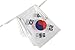South Korea Flag,TSMD 100 Feet Korean Flag National Country World Pennant Flags Banner,Party Decorations For Grand Opening,Olympics,Bar,World Cup,School Sports Event,International Festival Celebration