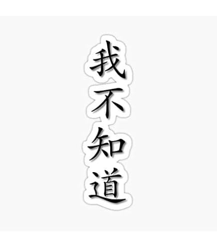 Amazon.com: MAGNET Chinese Characters - I don't understand Magnet