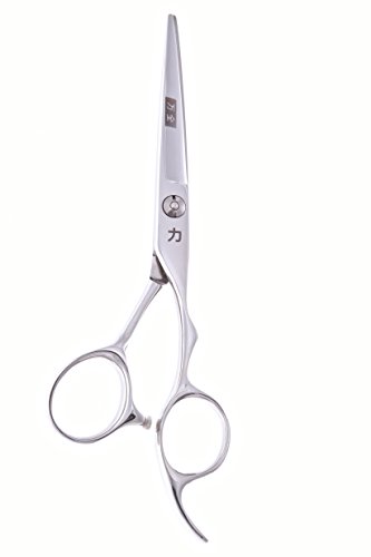 ShearsDirect Japanese Premium VG-10 Stainless Pro Styling Shear, 5.0 Inch, 10 Ounce