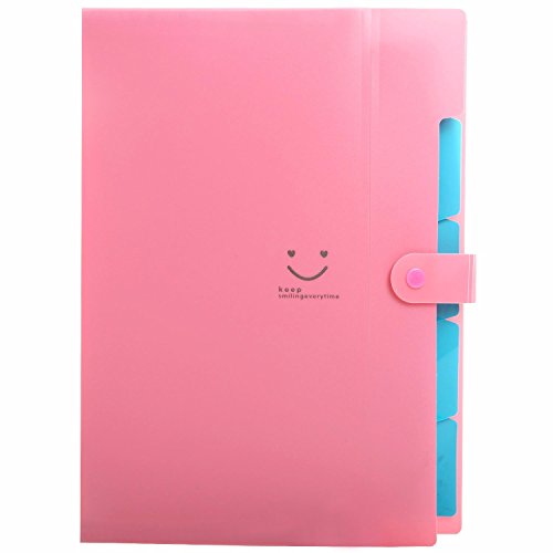 Classification Folders Portable File Folder Tabs Lateral File Folders Accordion File Jackets