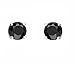 Hdiamonds 1/4 Carat Total Weight (cttw) Black Diamond Stud Earrings - 14K White Gold Diamond Earrings for Women