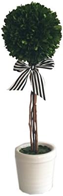 Galt International Ball Topiary Plant with Twig Stem in White Pot, 21-Inch Naturally Preserved Real Boxwood