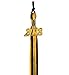 GraduationMall Double Color Graduation Tassel with 2025 Year Charm 9
