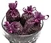 Zziggysgal 30 Empty Organza Drawstring Sachet Bags, Size 3x4 inches