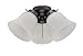 Westinghouse CORP 7781500 3-Light AB Frosted Fan Kit