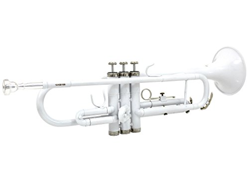 1 DLuca+500WH+Standard+Professional+Cleaning