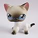 Action Figures Pet #5 White Black Siamese CAT Blue Eyes Toy