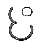 365 Sleepers 316L Surgical Steel Hinged Seamless Segment Ring Body Piercing - 12G 10mm Black