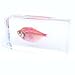 QTMY Biology Science World Collection of Real Insect Specimen Paperweight (Fish) (Colourful Light Fish)