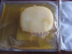 Organic Kombucha Scoby - Live Culture