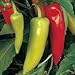 300 HUNGARIAN HOT WAX PEPPER (Hot Banana Pepper) Capsicum Annuum Vegetable Seeds
