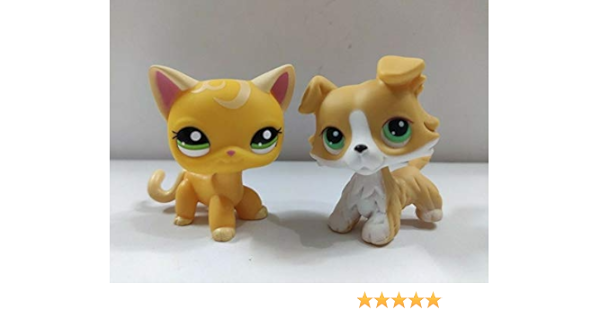lps standing cat