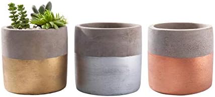 Opsuper Concrete Succulent Pots, 3.1 Inches Set of 3 Modern Succulent Planter with Drainage, Decor for Desks Bookshelves Windowsills