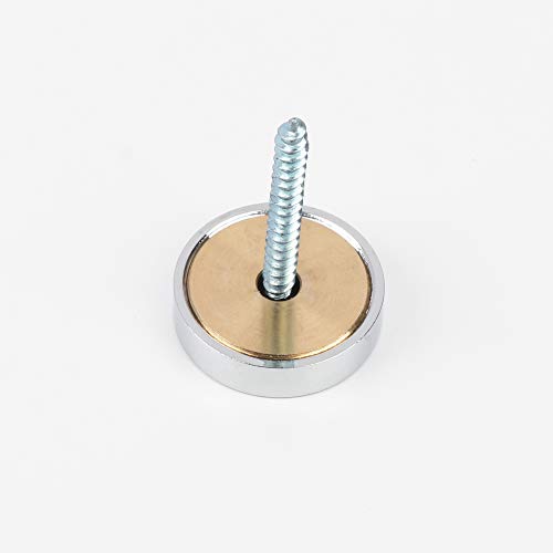Mirror Screws Brass Cap Decorative Mirror Nails 1 Polished Chrome