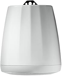 JBL Professional C65P/T-WH Compact Full-Range