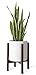Mkono Plant Stand Mid Century Wood Flower Pot Holder Indoor Potted Rack Modern Home Decor, Up to 10 Inch Planter (Plant and Pot NOT Included), Dark Brown Square Leg