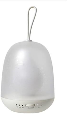 GYMNLJY Creative LED portable bright night light plug radio light , white