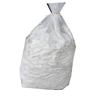 BM MUSHROOMS High Quality BM Florida Oyster Mushroom Spawn/ Plus PP Bags (400gm)