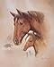 4 Horse Art Prints Mare Pictures Foal Posters Home Decor Interiors