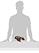 Zoo Med Natural Full Cork Round Reptile Hideaway Medium