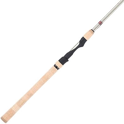 fenwick aetos spinning rod