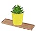 Rectangle Bamboo Saucer,Wood Plant Tray, Mini Plant Flower Pot Stand Tray Home Garden Accessoriesthumb 3
