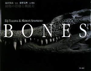 Bones 動物の骨格と機能美 湯沢英治 東野晃典 遠藤秀紀 遠藤秀紀 本 通販 Amazon