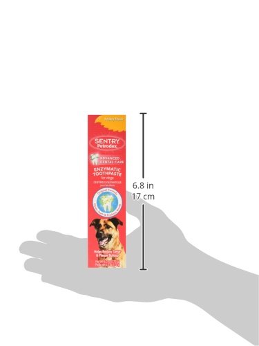 Petrodex Toothpaste for Dogs and Puppies, Cleans Teeth and Fights Bad Breath, Reduces Plaque and Tartar Formation, Enzymatic Toothpaste, Poultry Flavor, 6.2oz