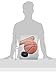 The Kids Room by Stupell Sports Balls 3-Pc Rectangle Wall Plaque Set, 11 x 0.5 x 15, Proudly Made in USA