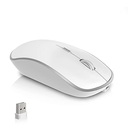 JOYACCESS Rechargeable Wireless Mouse for Laptop, Silent Portable Cordless Mouse for Laptop with USB Nano Receiver and High Precision 2400 DPI-Silver+White