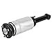 Pair Front Left Right Air Shocks Struts For Land Rover LR3 & Range Rover Sport 2005 2006 2007 2008 2009 - BuyAutoParts 75-841922E New