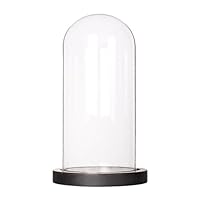 Moonlear Glass Display Dome Cloche Tabletop Display Case (Black Wood Base, Dia3.5 x H7.4)