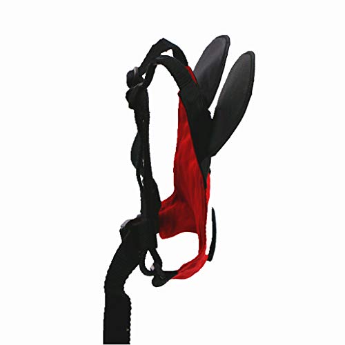 image for Ymeibe Baby Toddler Harness for Walking Kids Cute Safety Belt Harness 
