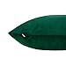 BGment Soft Velvet Cushion Cover, Decorative Square Throw Pillow Case for Sofa Car, Bedroom, Living Room, 18x18 inch - Emerald Green