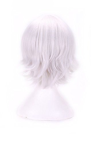 AneShe Men's Short Straight Layered Hair Anime Cosplay Costume Wig (Silver)