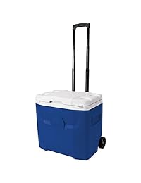 Igloo Quantum 28   Rodillo Majestic azul blanco, a