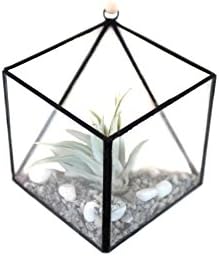 Air Plant Holder Wall Terrarium Black Hanging Wall Planter For Succulents Modern Geometric Wall Decor Glass Vase Cacti Wall Accent